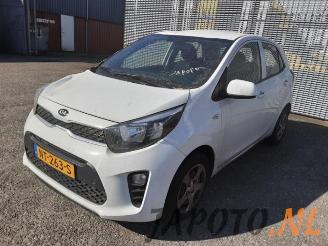 Sloopauto Kia Picanto Picanto (JA), Hatchback, 2017 1.0 12V 2017/7