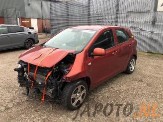 Sloopauto Kia Picanto Picanto (JA), Hatchback, 2017 1.0 12V 2019/8
