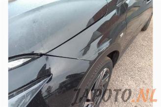 Hyundai Bayon Bayon, SUV, 2021 1.0 T-GDI 12V Mild Hybrid 48V picture 12