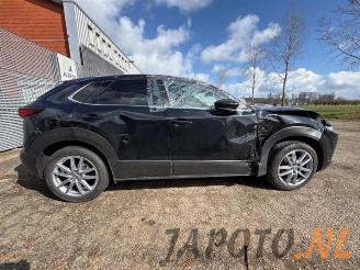 Mazda CX-30 CX-30 (DM), SUV, 2019 2.0 e-SkyActiv-G 150 16V 4WD picture 6