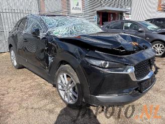 Mazda CX-30 CX-30 (DM), SUV, 2019 2.0 e-SkyActiv-G 150 16V 4WD picture 7