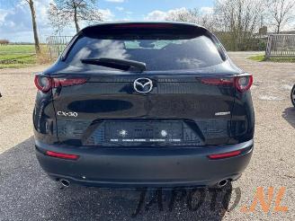 Mazda CX-30  picture 4