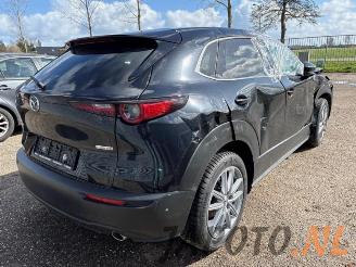 Mazda CX-30 CX-30 (DM), SUV, 2019 2.0 e-SkyActiv-G 150 16V 4WD picture 5