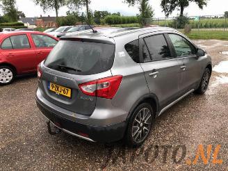 Suzuki SX4 SX4 S-Cross (JY), SUV, 2013 1.6 16V picture 5