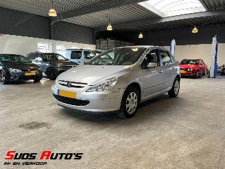  Peugeot 307 1.6-16V XS Premium 2005/1