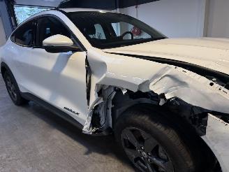 Ford Mustang Mach-e Extended RWD 98 KWH 30.000 NAP! picture 12