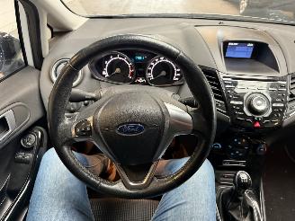 Ford Fiesta 1.0 EcoBoost picture 19