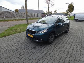 Peugeot 2008 1.2 PureT. Blue Lion picture 7