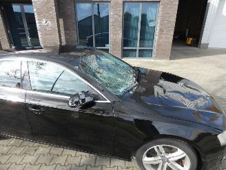 Audi A5 Sportback 2.0 TFSI Pro Line picture 27