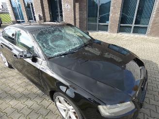 Audi A5 Sportback 2.0 TFSI Pro Line picture 26