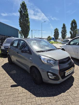 Kia Picanto (TA) Hatchback 1.0 12V (G3LA) [51kW] 5-BAK picture 6