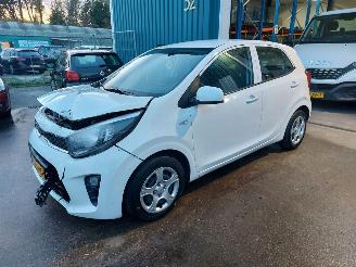 Vaurioauto  passenger cars Kia Picanto Picanto (JA) Hatchback 1.0 12V (G3LD) [49kW] 2023/6