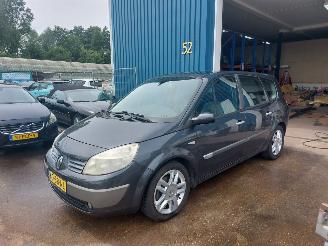 Vaurioauto  passenger cars Renault Grand-scenic Grand Scénic II (JM) MPV 2.0 16V 2005/11
