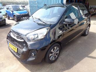 Damaged car Kia Picanto (TA) Hatchback 1.0 12V (G3LA) [49kW] 2016/11