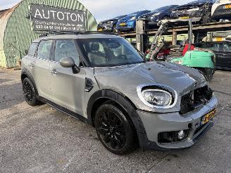 Avarii autoturisme Mini Countryman 1.5 75KW Autom. Pano Clima Navi Dutch Made Edition Led 2019/9