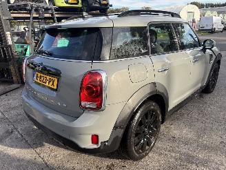 Avarii autoturisme Mini Countryman 1.5 75KW Autom. Pano Clima Navi Dutch Made Edition Led 2019/9