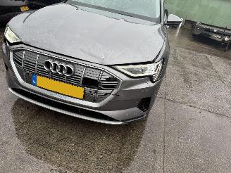 Audi E-tron 71 kWh 50 Quattro 230KW Pano Clima Navi Leer Led Camera picture 18