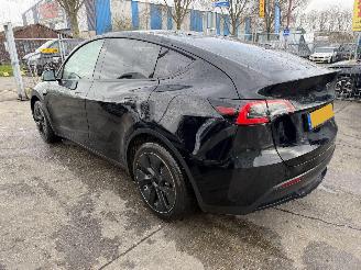 Tesla Model Y 58 kWh 175KW RWD Pano Clima Navi NAP picture 4