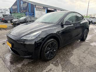 Tesla Model Y 58 kWh 175KW RWD Pano Clima Navi NAP picture 2
