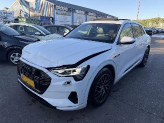 Schadeauto Audi E-tron 55 Quattro 95 kWh 408PK Advanced Pano Clima Navi Led Camera NAP 2019/12