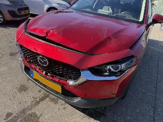 Mazda CX-30 2.0 e-SkyActiv-X Autom. 137KW M Hybrid Luxury Clima Navi Led NAP picture 18