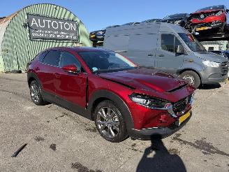 skadebil auto Mazda CX-30 2.0 e-SkyActiv-X Autom. 137KW M Hybrid Luxury Clima Navi Led NAP 2022/1