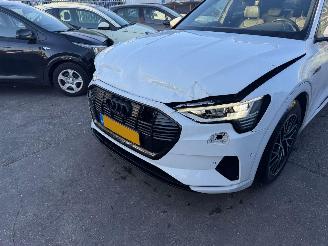 Audi E-tron 55 95 kWh 300KW Quattro Advanced Pano Clima Navi Led Xenon picture 18