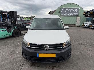 Volkswagen Caddy maxi 1.4 TGI 81KW Clima 5-Pers Rolstoelvervoer NAP picture 3