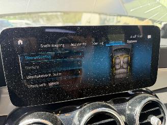 Mercedes GLC 300e 4Matic Autom Pano Premium Sfeerverlichting Led Camera picture 13