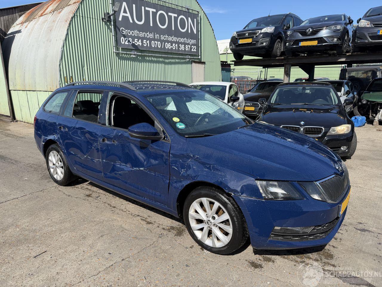 Skoda Octavia 1.6 TDI 85KW DSG Clima Navi Camera Greentech Ambition Business NAP
