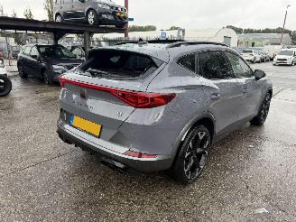 Cupra Formentor 2.0 TSI 310PK 4Drive VZ Pano Clima Navi Camera picture 4