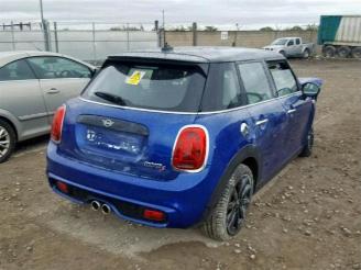 Mini Mini  picture 2