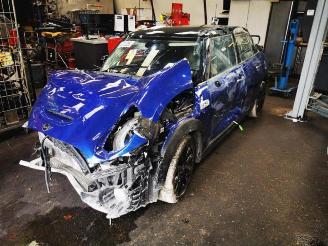 Mini Mini  picture 5