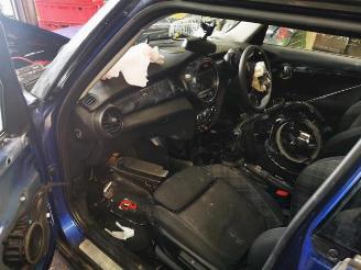 Mini Mini  picture 7