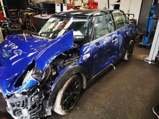 Mini Mini  picture 6