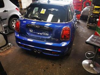 Mini Mini  picture 8