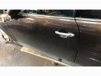 Mini Mini  picture 4