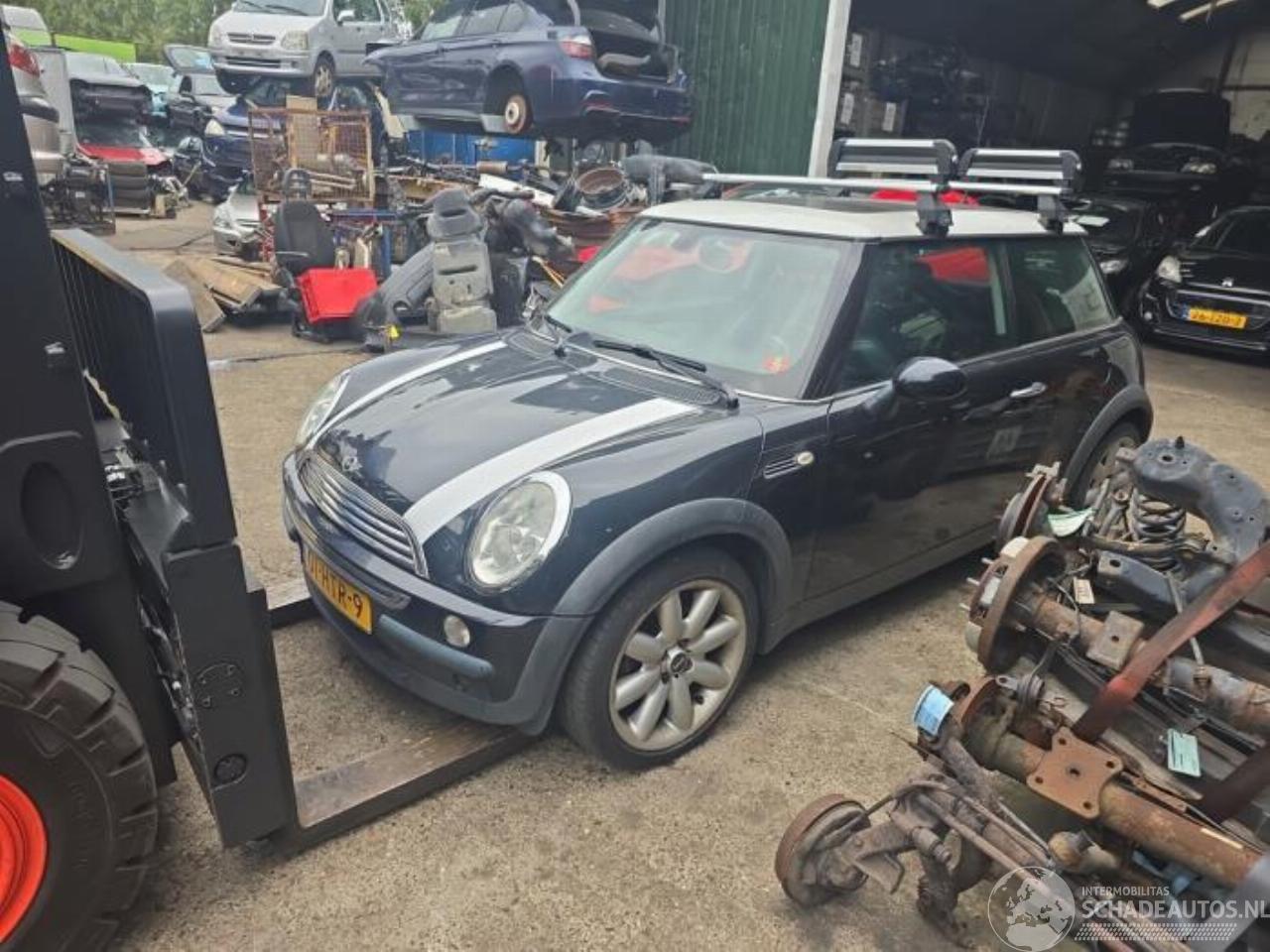 Mini Mini 