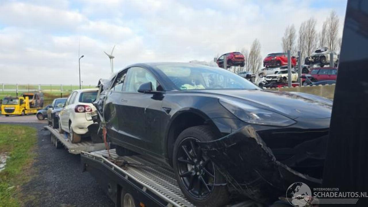 Tesla Model 3 Model 3, Sedan, 2017 Standard RWD Plus, Loing Range RWD