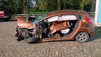 Ford Fiesta Fiesta 6 (JA8) Hatchback 1.6 TDCi 95 (T3JA(Euro 5)) [70kW]  (02-2010/1=
2-2015) picture 6
