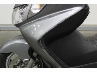 Suzuki AN 400 Burgman picture 8