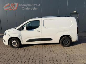 Opel Combo Combo Cargo, Van, 2018 1.5 CDTI 130 picture 2