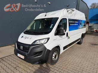 Dezmembrări autoturisme Fiat Ducato Ducato (250), Van, 2006 2.2 D 140 Multijet 3 2022/1