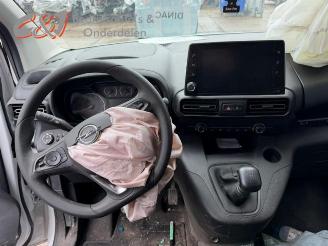 Opel Combo Combo Cargo, Van, 2018 1.5 CDTI 100 picture 12