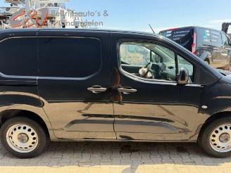 Opel Combo Combo Cargo, Van, 2018 1.6 CDTI 100 picture 8