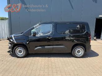 Opel Combo Combo Cargo, Van, 2018 1.6 CDTI 100 picture 2