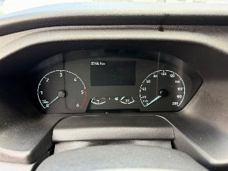 Ford Transit  picture 19