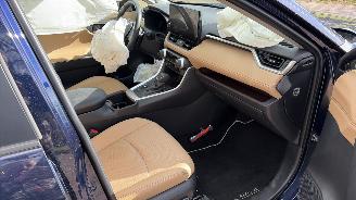 Toyota Rav-4 2.5 hybrtde picture 7