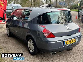 Renault Avantime 2.0 16V Turbo Dynamique Navi Climate Glazen dak Trekh. picture 3