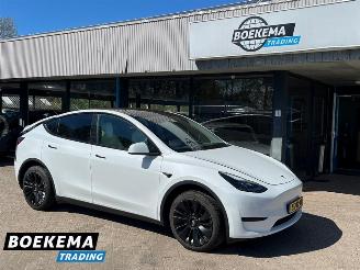 damaged passenger cars Tesla Model Y RWD 58 kWh FSD Computer 3 2023/6